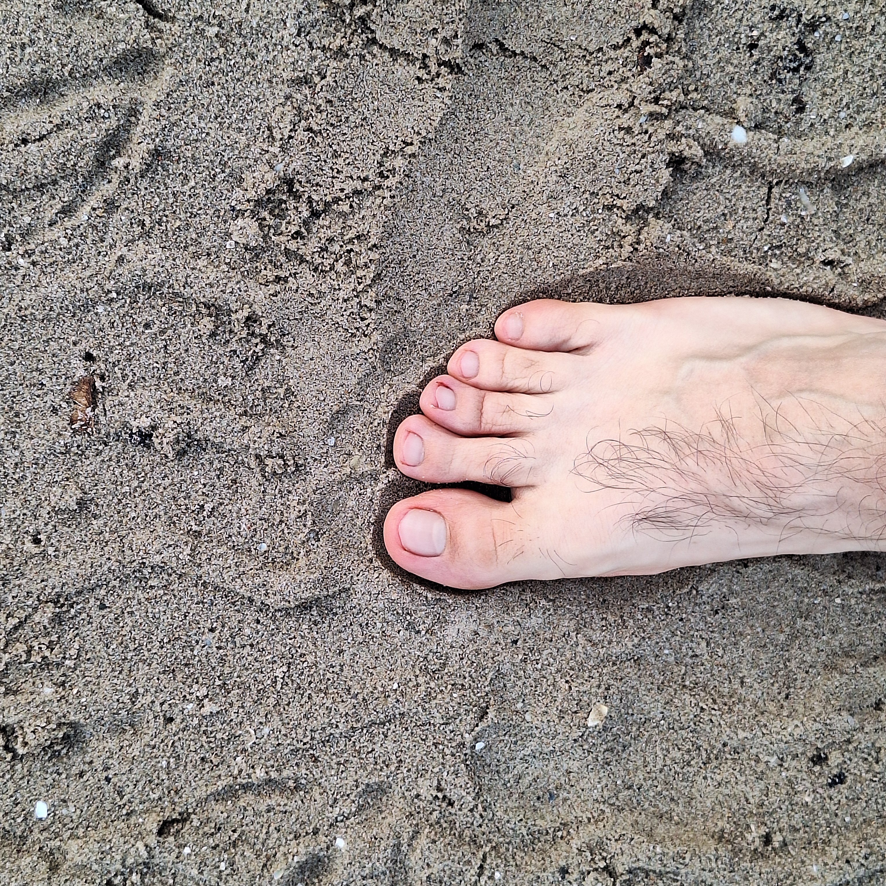 OtterRuns